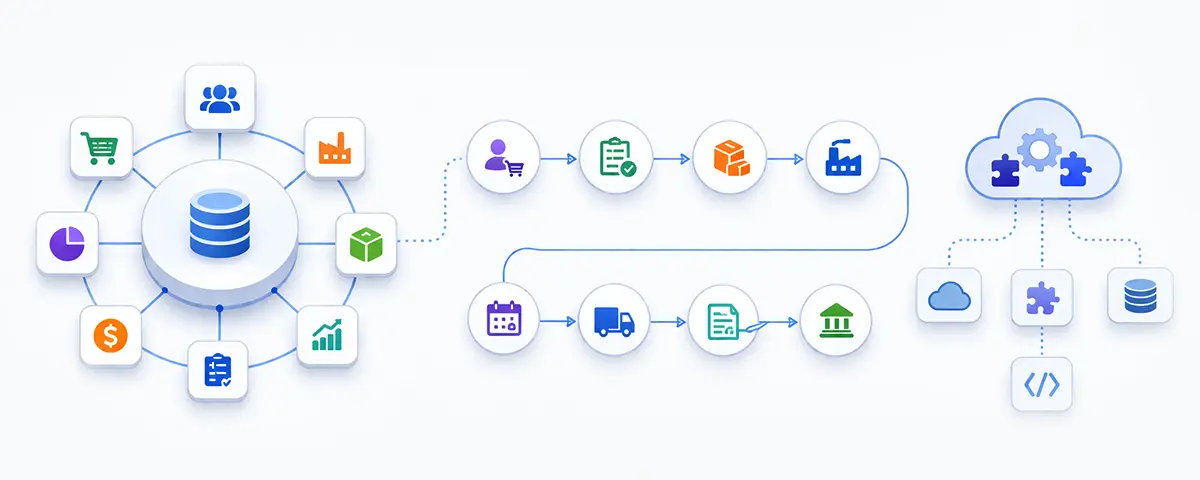 How Does ERP Systems Work