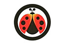 Fashion Bug