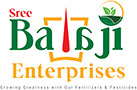 Sree Balaji
