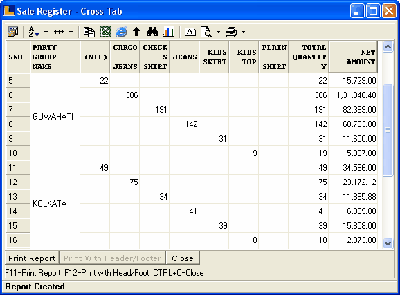 SaleRegisterCrossTab-PartyItRepView