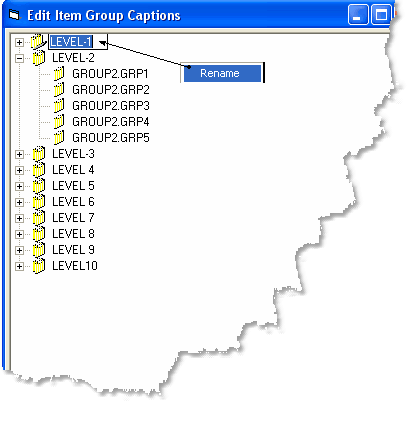 SetupItemGroups_RRename