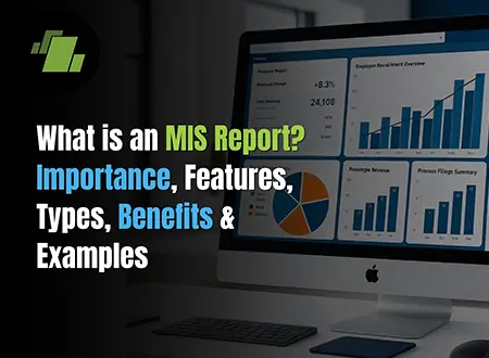 MIS Report Importance Features